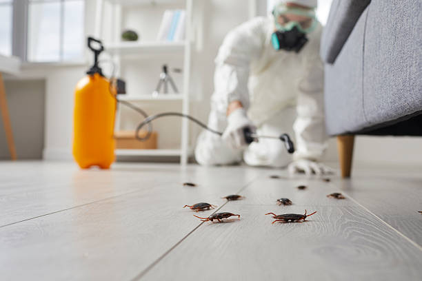 Commercial Kitchen Cockroach Control in Aumsville